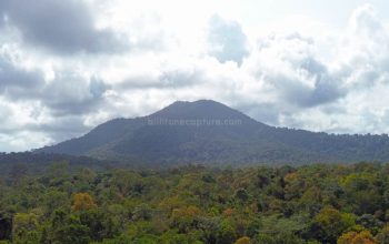 Gunung tajam Belitung