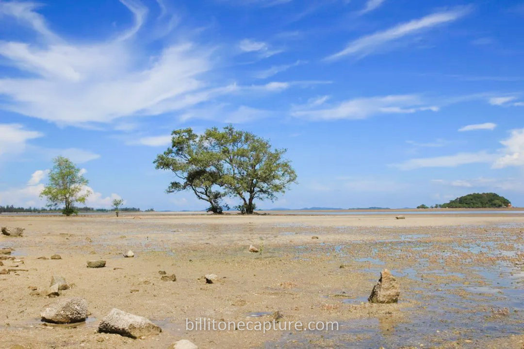 Pantai Tanjung Pendam