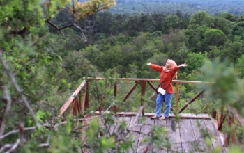Gunung lumut / bukit lumut Belitung timur